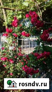 Дом 57 м² на участке 20 сот. в аренду на длительный срок в Советской Краснодарского края Советская - изображение 1