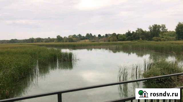 Участок ИЖС 16 сот. на продажу в Борисовке Борисовка - изображение 1