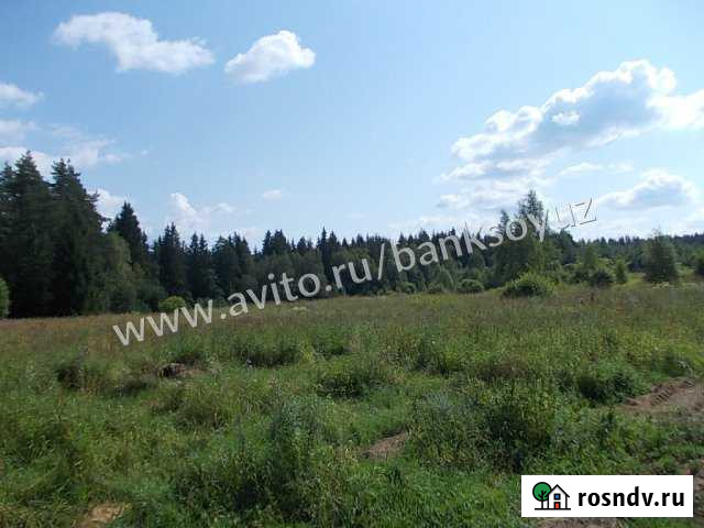 Участок СНТ, ДНП 260 сот. на продажу в Рощино Ленинградской области Рощино - изображение 1