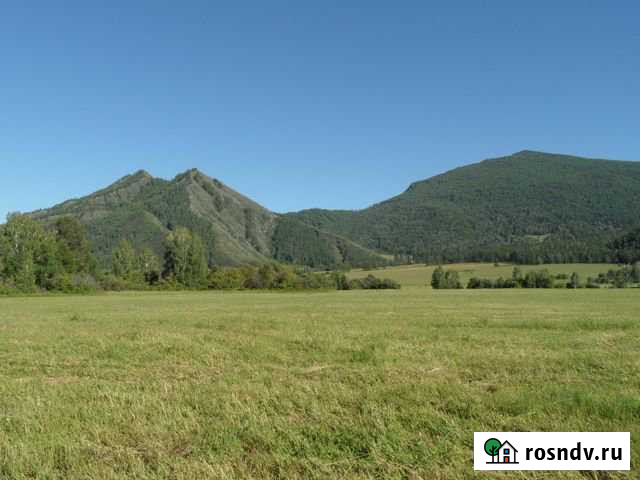 Участок СНТ, ДНП 2000 сот. на продажу в Усть-Коксе Усть-Кокса - изображение 1