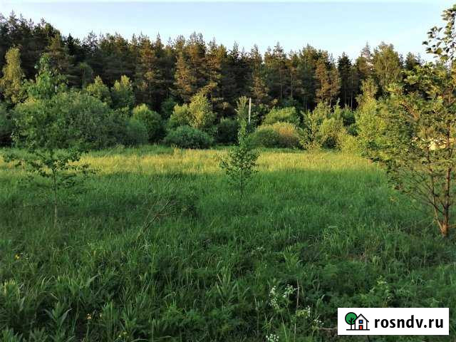 Участок ИЖС 30 сот. на продажу в Давыдово Давыдово - изображение 1