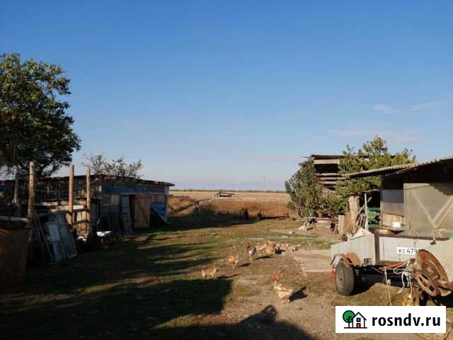 Дом 47 м² на участке 39 сот. на продажу в Камышеватской Камышеватская - изображение 1