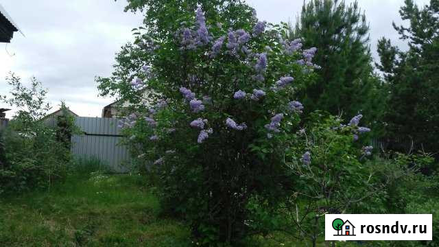 Дом 30.7 м² на участке 26 сот. на продажу в Междуреченском Междуреченский - изображение 1