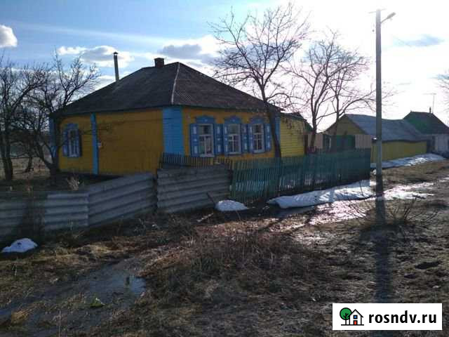 Дом 45 м² на участке 42 сот. на продажу в Каменке Воронежской области Каменка - изображение 1