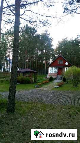 Дача 100 м² на участке 20 сот. на продажу в Пскове Псков - изображение 1