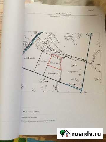 Участок СНТ, ДНП 3000 сот. на продажу в Тамбовке Амурской области Тамбовка - изображение 1
