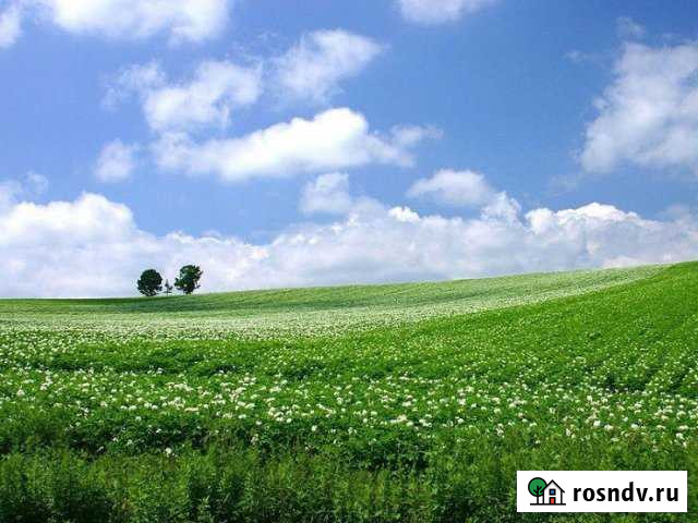 Участок СНТ, ДНП 600 сот. на продажу в Выксе Выкса - изображение 1