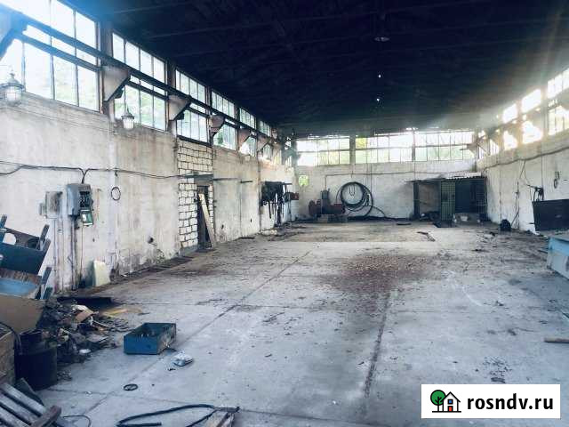 Помещения свободного назначения Су 528 Севастополь - изображение 1