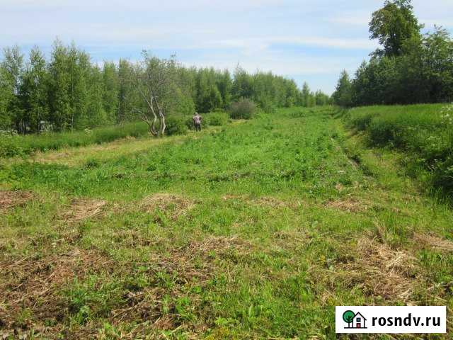 Участок СНТ, ДНП 9 сот. на продажу в Фурманове Фурманов - изображение 1