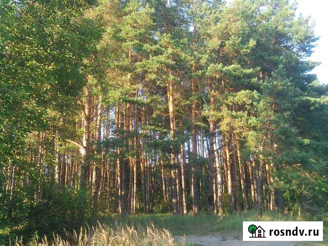 Дача 20 м² на участке 6 сот. на продажу в Брянске Брянск - изображение 1