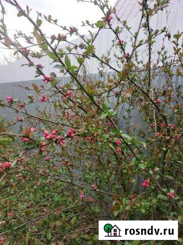 Участок ИЖС 15 сот. на продажу в Киржаче Киржач - изображение 1