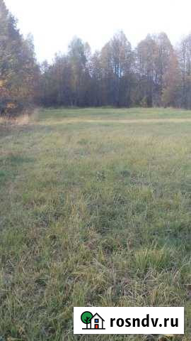 Участок ИЖС 25 сот. на продажу в Медыни Медынь - изображение 1