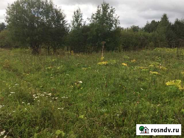 Участок ИЖС 8 сот. на продажу в Чернушке Чернушка - изображение 1