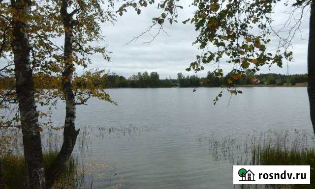 Участок СНТ, ДНП 240 сот. на продажу в Гдове Гдов - изображение 1