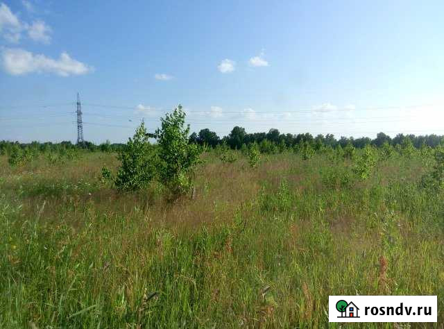 Участок СНТ, ДНП 1020 сот. на продажу в Томске Томск - изображение 1