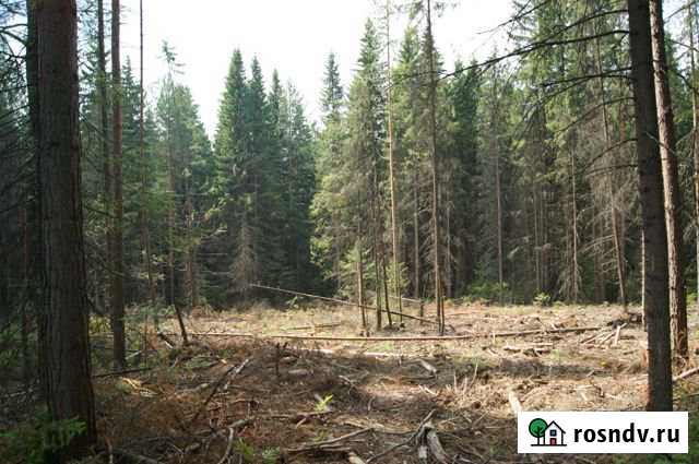 Участок ИЖС 10 сот. на продажу в Ревде Свердловской области Ревда - изображение 1