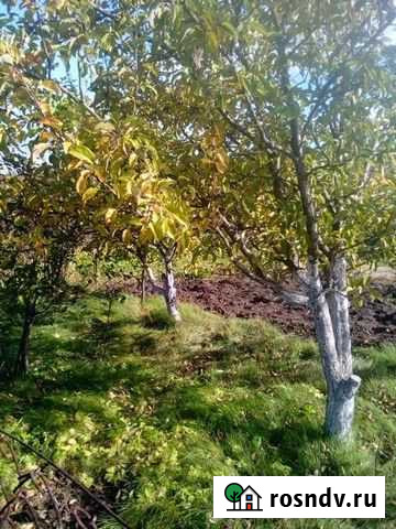 Дача 20 м² на участке 4 сот. на продажу в Новочебоксарске Новочебоксарск - изображение 1