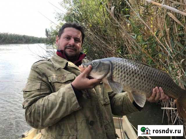 Дом 90 м² на участке 100 сот. в аренду посуточно в Камызяке Камызяк - изображение 1