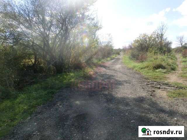 Участок СНТ, ДНП 6 сот. на продажу в Северской Северская - изображение 1