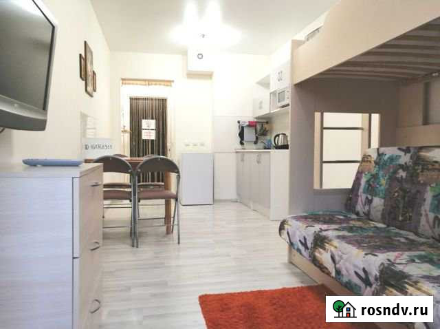 Квартира-студия, 22 м², 3/4 эт. в аренду посуточно в Сертолово Сертолово - изображение 1