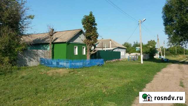 Дом 65 м² на участке 49 сот. на продажу в Репьевке Репьевка - изображение 1