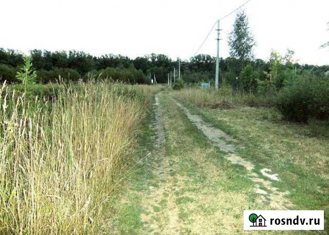 Участок СНТ, ДНП 4 сот. на продажу в Большом Истоке Большой Исток - изображение 1