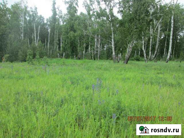 Участок ИЖС 10 сот. на продажу в Долгодеревенском Долгодеревенское - изображение 1