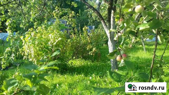 Дача 30 м² на участке 4 сот. на продажу в Ново-Талицах Ново-Талицы - изображение 1