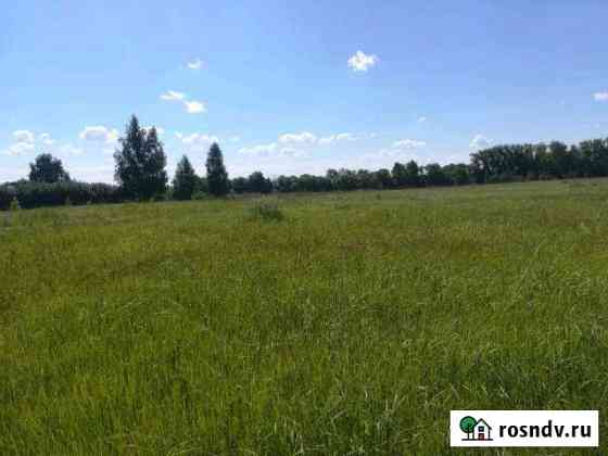 Участок ИЖС 80 сот. на продажу в Спасск-Рязанском Спасск-Рязанский