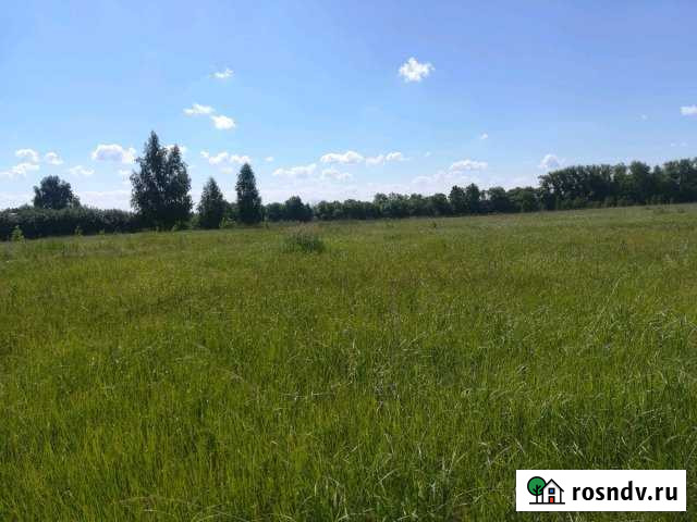 Участок ИЖС 80 сот. на продажу в Спасск-Рязанском Спасск-Рязанский - изображение 1