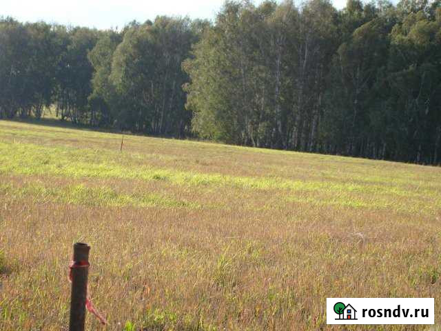 Участок СНТ, ДНП 15 сот. на продажу в Оби Обь - изображение 1