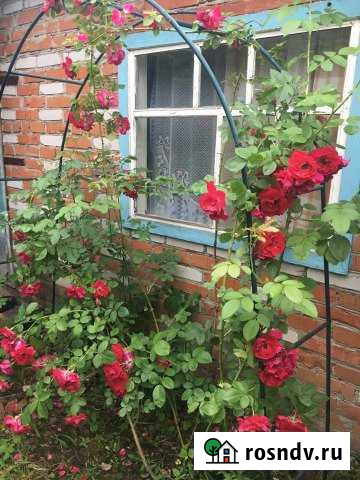 Дача 20 м² на участке 4.5 сот. на продажу в Нижнекамске Нижнекамск - изображение 1