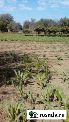 Участок ИЖС 10 сот. на продажу в Вышестеблиевской Вышестеблиевская - изображение 1