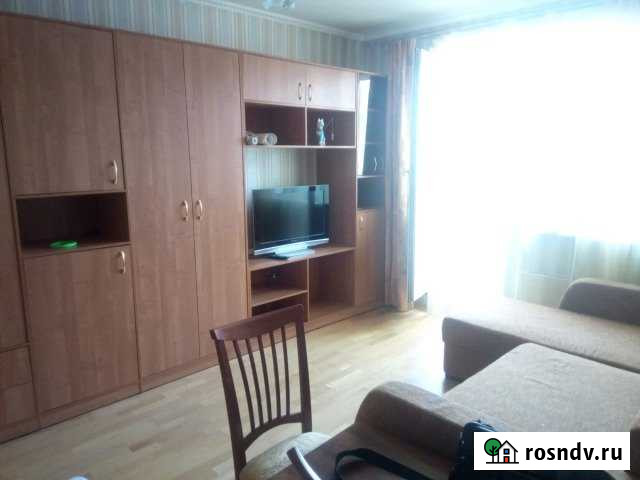 1-комнатная квартира, 38 м², 14/17 эт. в аренду на длительный срок в Железнодорожном Московской области Железнодорожный - изображение 1