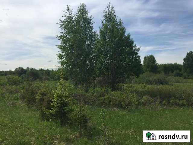 Участок ИЖС 14 сот. на продажу в Туношне Туношна - изображение 1