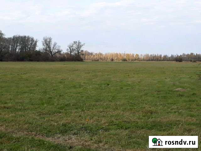 Участок СНТ, ДНП 8750 сот. на продажу в Абакане Абакан - изображение 1