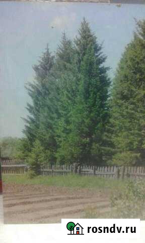 Участок ИЖС 17 сот. на продажу в Козульке Козулька - изображение 1