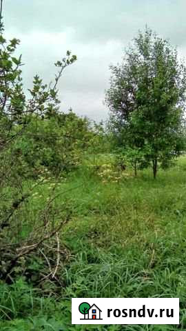 Участок СНТ, ДНП 12 сот. на продажу в Чудово Чудово - изображение 1