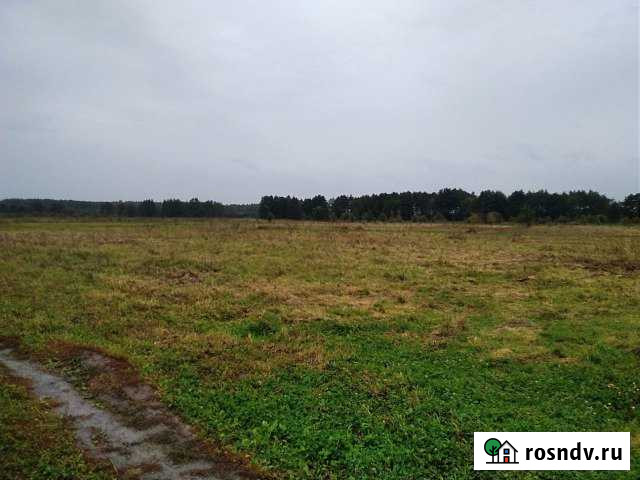 Участок СНТ, ДНП 400 сот. на продажу в Зеленоградске Зеленоградск - изображение 1