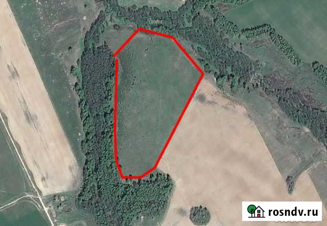 Участок СНТ, ДНП 600 сот. на продажу в Коломне Коломна - изображение 1