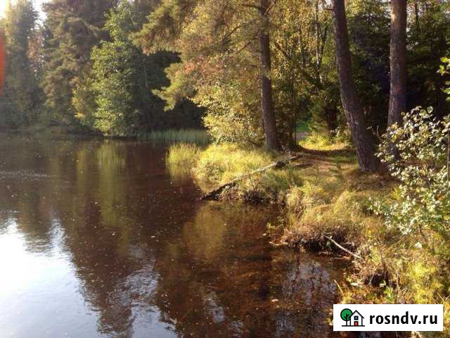 Участок ИЖС 20 сот. на продажу в Тосно Тосно - изображение 1