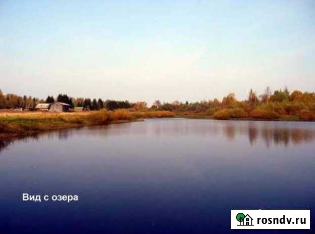 Участок ИЖС 80 сот. на продажу в Селижарово Селижарово - изображение 1