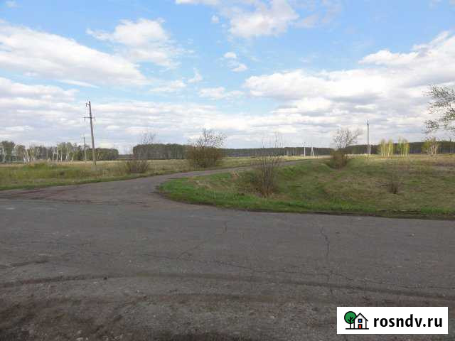 Участок промназначения 25 сот. на продажу в Омске Омск - изображение 1