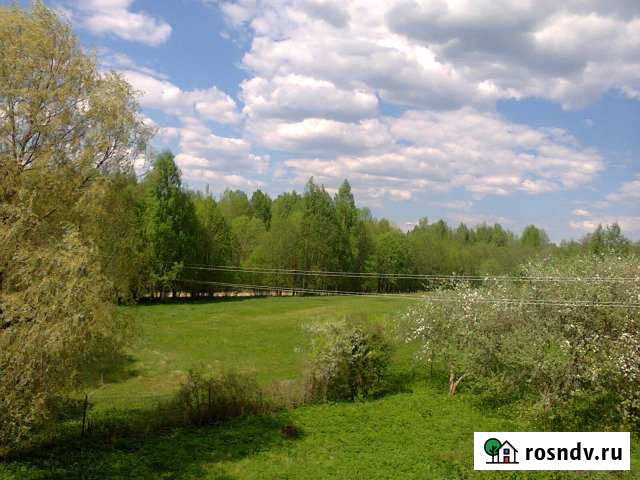Участок ИЖС 30 сот. на продажу в Крестцах Крестцы - изображение 1