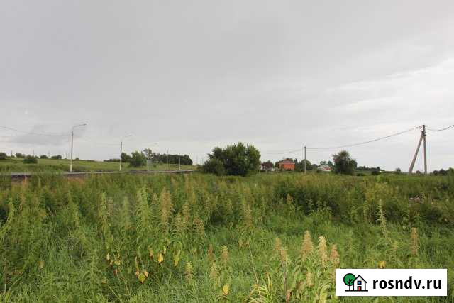 Дом 45 м² на участке 50 сот. на продажу в Становом Становое - изображение 1