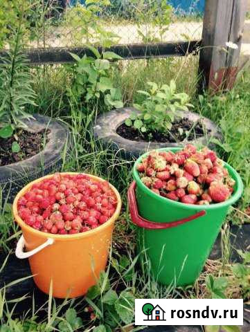 Участок СНТ, ДНП 6 сот. на продажу в Ханты-Мансийске Ханты-Мансийск - изображение 1