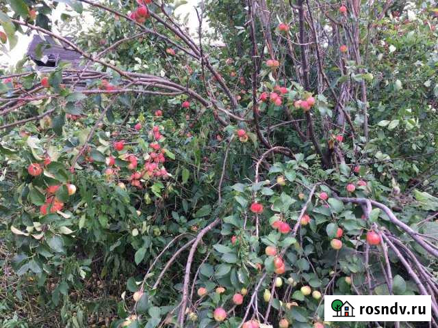 Участок ИЖС 25 сот. на продажу в Шумихе Шумиха - изображение 1