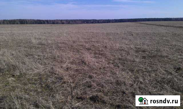 Участок СНТ, ДНП 255 сот. на продажу в Балабаново Балабаново - изображение 1