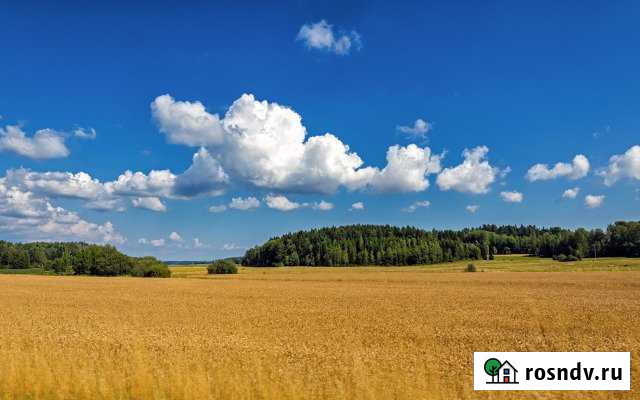 Участок СНТ, ДНП 620 сот. на продажу в Полазне Полазна - изображение 1