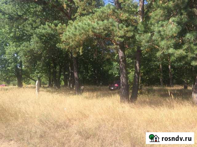 Участок ИЖС 10 сот. на продажу в Углянце Углянец - изображение 1